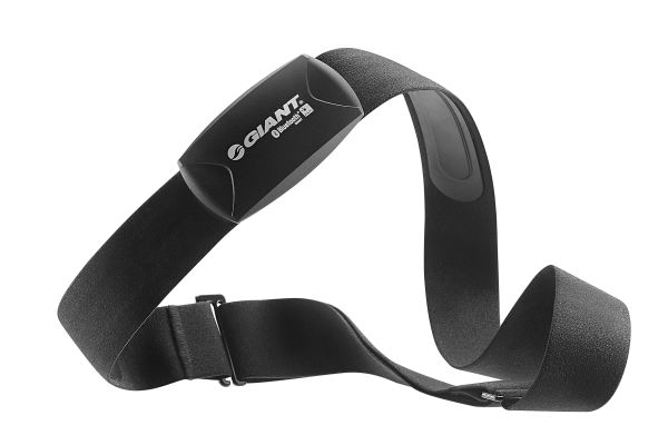 Giant Heart Rate Sensor