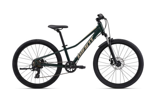 Talon 24